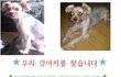 ★★인천부평일신동이나,근처동네에사시는분봐주세요