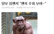 웃고싶어 직접올리는 웃긴댓글,만화,공감 3