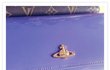 비비안웨스트우드 지갑 파는 토닉 이라는곳 에서 절대 사지마세요