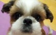 (기욤보장)♥♥♥일단 들어와 보시개♥♥♥