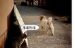 ★★개 XX 빡침★★★