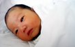 ★귀염둥이 지니스톼일 ★