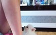    ☆★ 꽃미남 포메 하야의 성장기 ☆★ 