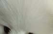 우리집 복덩이 ♥ (스압주의)