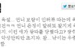☆★☆한심한 티퀴들★☆★