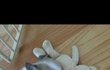 나는 마성의 토리라개!!!!!!!!!!!!!!!!!!!!!!!!!!!!!!!!!!!!!!!!ㅋㅋ