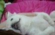 정체가 무엇이냐 ㅜㅜㅋㅋㅋ