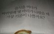 음식을 먹다가 바퀴벌레 몇 마리가 나왔을때 가장 기분이 나쁠까요?