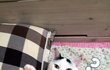 [냥판] 대두김용배의 소소한일상들(과 걍사진)