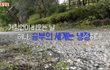 원더보이즈 타다3회 완전 재미짐ㅠㅠㅋㅋ