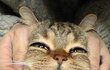 까꽁~~~~~~~~~~~~~~~~~