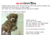 사진有)) 한달, 만남부터 이별까지