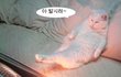 ㄲ ㅏ 꽁  ~~~~~~~~~~~~