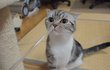 입냄새, 생얼판! (유봉이 앙즈판)