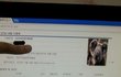 코알라 때문에 포토샵 자격증 시험 실격당한 같은반 동급생