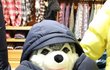 연예인병 브라우니 빈폴 메인 모델 됐더라구요 ;;