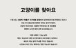 누룽이를 찾습니다!! 잃어버린지 5일만에 주인이 찾기를 포기한 아이에요.