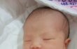 우리집 둘째 깡순이를 소개합니다~!!