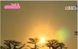 무참히훼손된 선인장들/식물,나무 ,꽃, 자연을 훼손하지말아주세요.