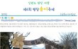 강원도 평창 송어축제