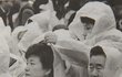 박근혜 전여옥 어록ㅋ문죄인역겨워읽으세요~