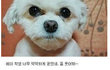 증명사진 찍을때 우리의 모습.JPG