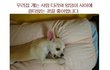 아무 생각 없이 보면 터짐.jyp