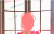 언니들ㅠㅠ이니트(핫핑크)어때요?