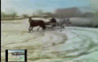 1마력 드리프트.gif