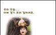 다시보는 안정환VS돼지녀 