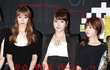 ✖✖✖계단식 영농같은 티아라✖✖✖