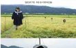 (섬찟) 일본의 허수아비