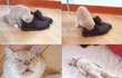 당햇다..jpg