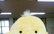유후~ 후 닮은 인형!