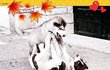 3월14일은 화이트데이(Fight-Day)