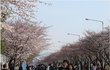 솔로들이여 긴장하라!!!!
