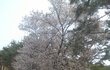 포샵 지존 흉 누나들.. 