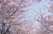 솔로들이 들어야 할 설레는 노래들^@^