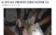 개념상실 최강 신생아 변기에 넣고 물내림.