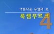 아름다운 유럽의 꽃, 룩셈부르크 4