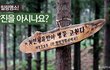 장흥여행 추천 힐링명소! - 정남진을 아시나요?
