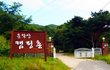 [경기/포천] 운악산캠핑촌 글램핑