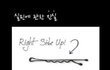 실핀의 진실