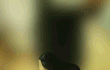 스쿼트 2주후기 사진有