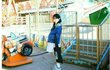 홍영기 이세용 임신