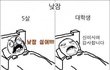 5살 vs 대딩 