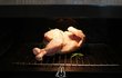 섹시한 자태.jpg