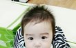 천사의 미소를 가진 꿀꿀이 귀요미를 소개합니다
