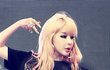 룸메이트 박봄