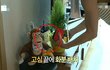 괜히 개념돌이라고 하는게 아니야